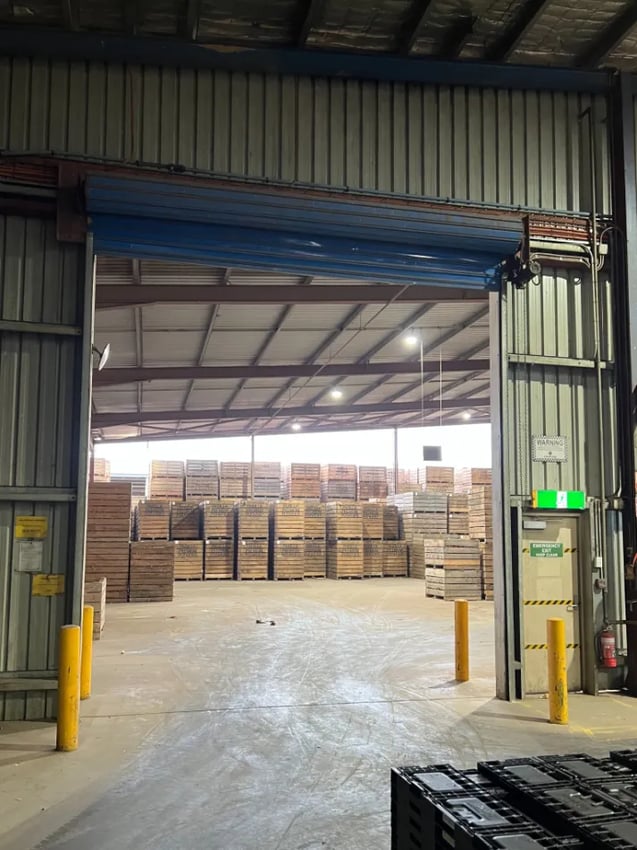 Remax Doors Case Study: Potato Packing Factory Solution